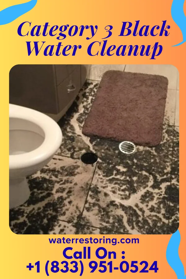 Category 3 Black Water Cleanup in Fleetwood, PA