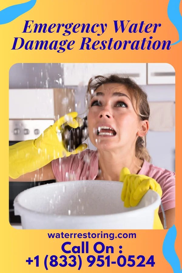 Emergency Water Damage Restoration in Fleetwood, PA
