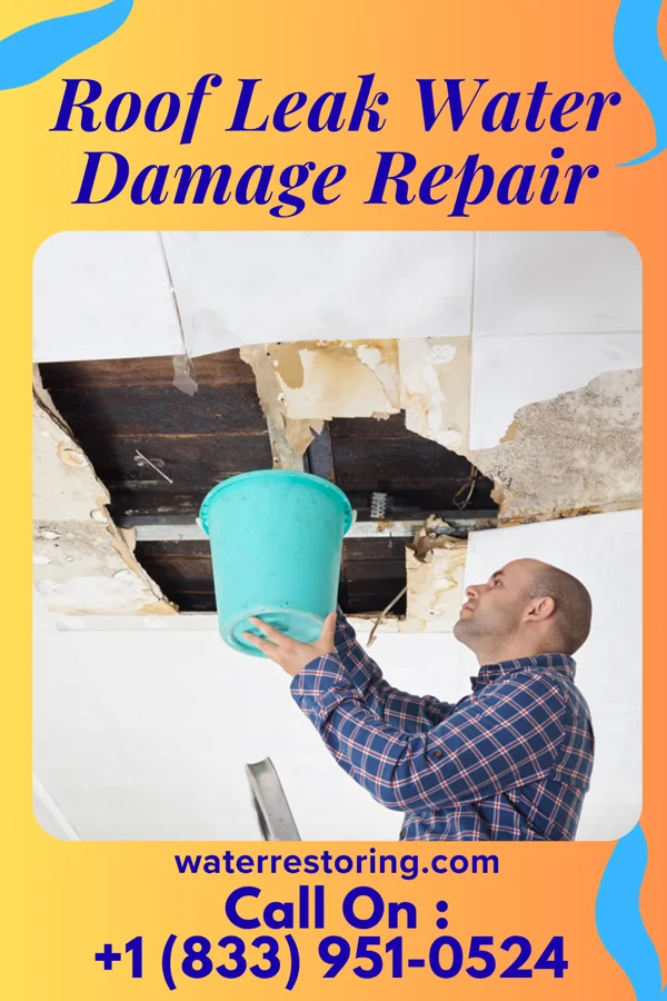Roof Leak Water Damage Repair in Fleetwood, PA