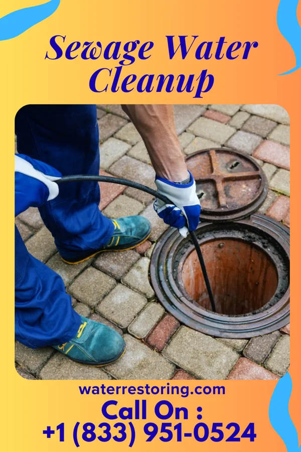 Sewage Water Cleanup in Fleetwood, PA