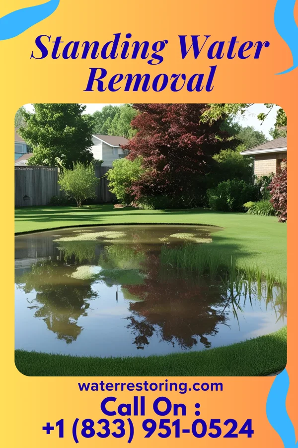 Standing Water Removal in Fleetwood, PA
